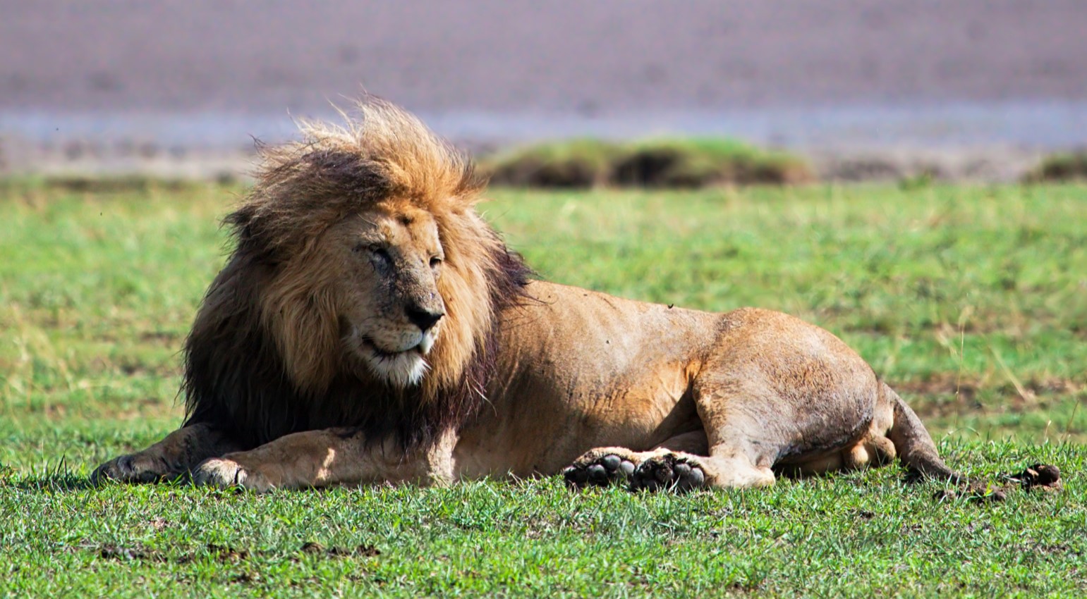 Kenya and Tanzania