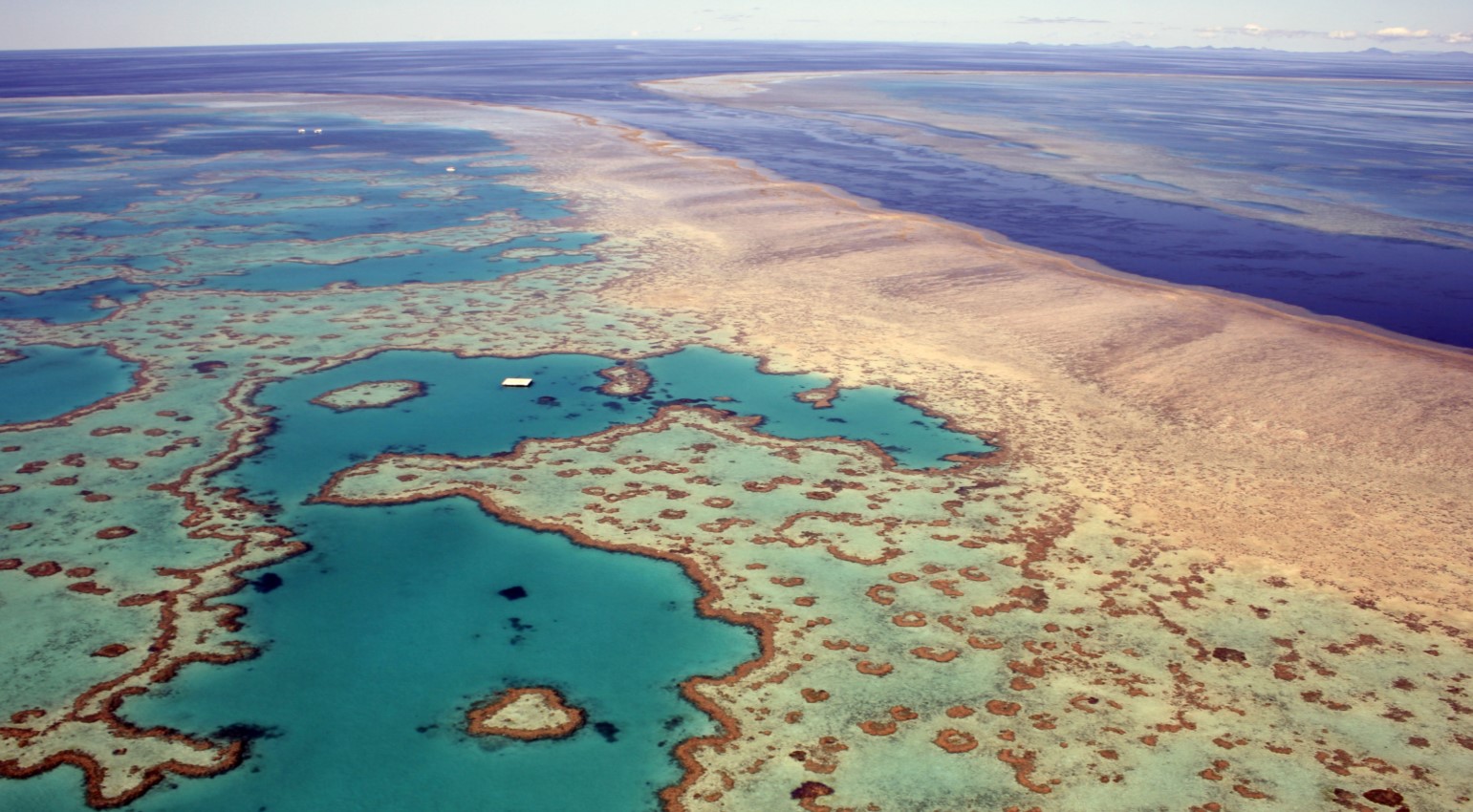 Australia, New Zealand and Fiji Option
