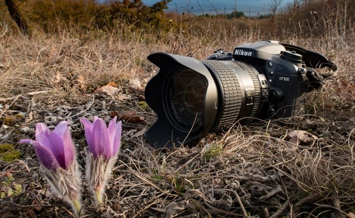 How to Pick the Best Camera for Travel
