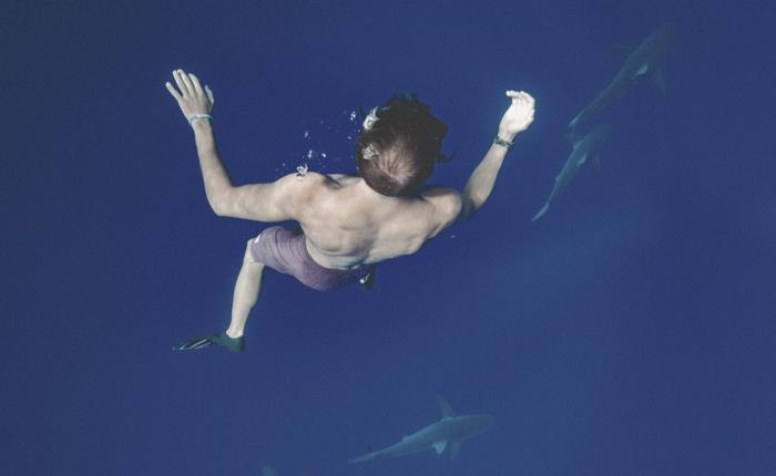 How I felt while I was swimming with Whale Sharks in Philippines?