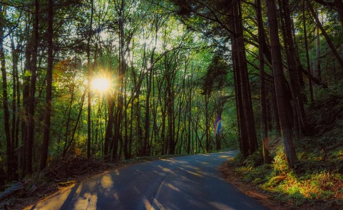 Top american road trips