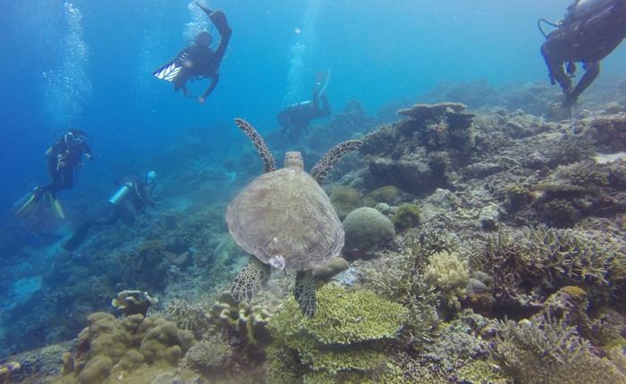 TOP 5 PLACES YOU HAVE TO SEE ON CEBU ISLAND PHILIPPINES TRAVEL GUIDE