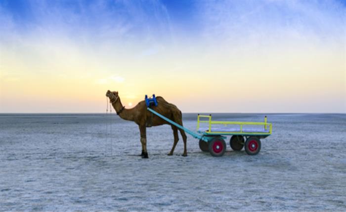 Experience India’s Rann Utsav in Kutch, Gujarat