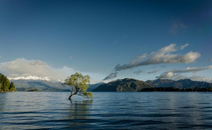 TOP THINGS TO DO IN QUEENSTOWN, NEW ZEALAND
