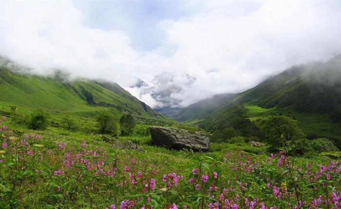 15 INCREDIBLE NATURAL WONDERS IN INDIA
