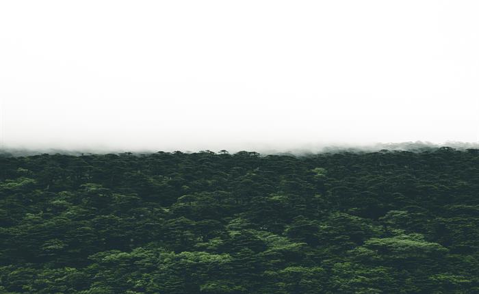 5 Reasons NOT To Visit India
