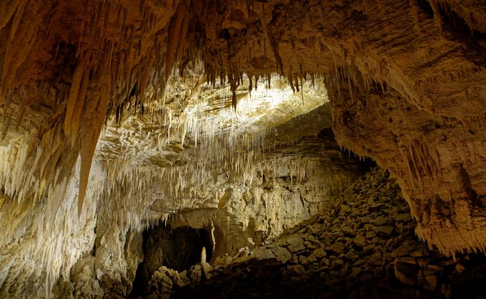 EXPLORING WAITOMO NEW ZEALAND’S LUMINESCENT GLOWWORM CAVES