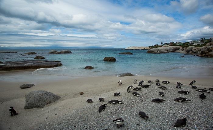 What to Expect on Robben Island