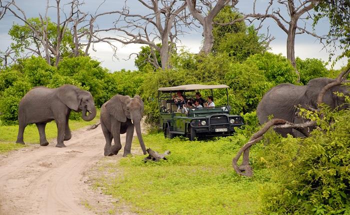 Things to Know Before You Travel to Botswana