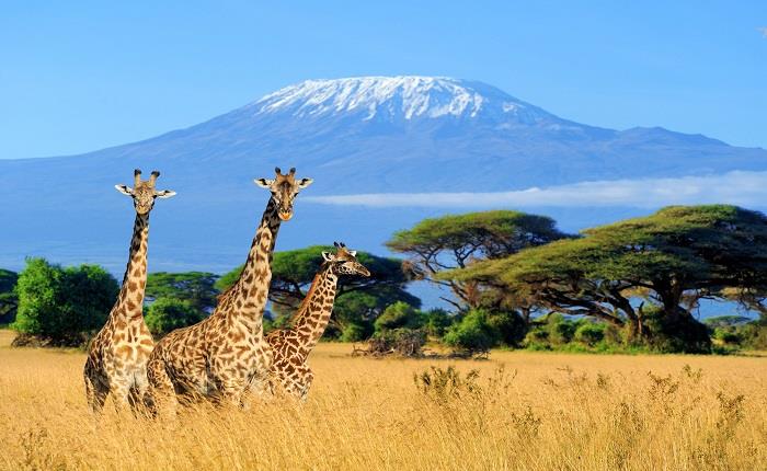 Kenya What You Need To Know Before You Go