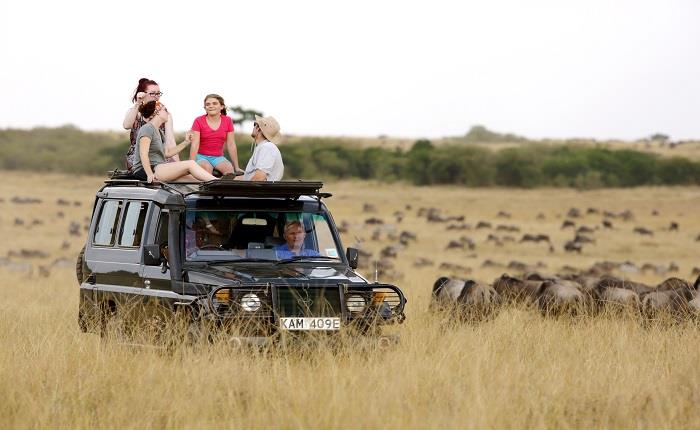 Kenya Safari – The Masai Mara