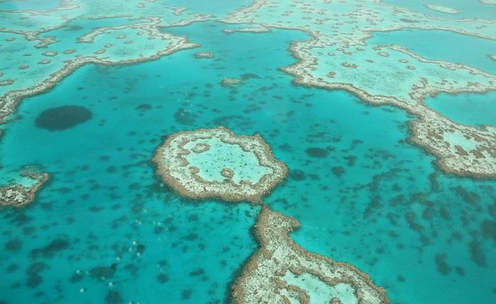 How To experience The Great Barrier Reef
