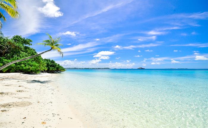 Explore Indo-Fijian Culture in Fiji for FREE