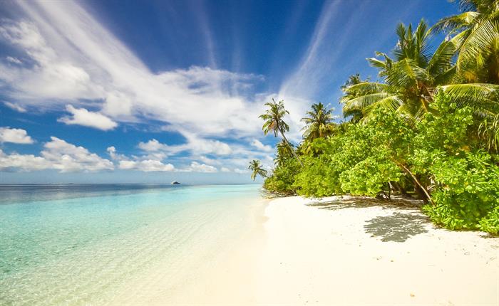 Explore Indo-Fijian Culture in Fiji for FREE