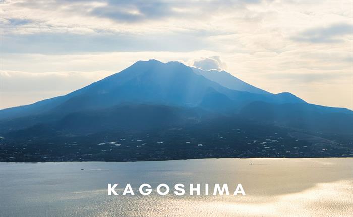Fly For Free in Japan!