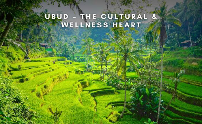 The Best Time to Visit Bali—and Where to Go on Your First Trip