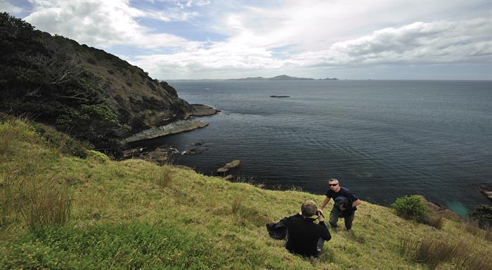 Highlights of The New Zealand Bay of Islands