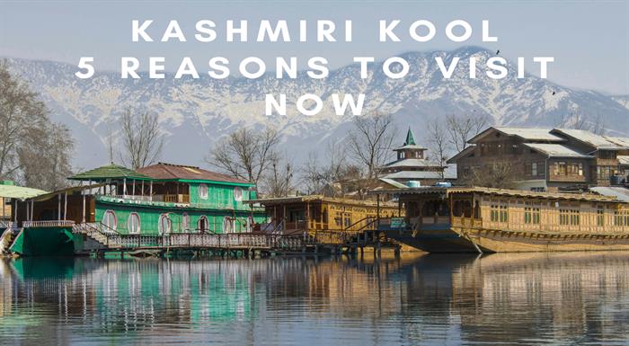 Kashmir Kool - India