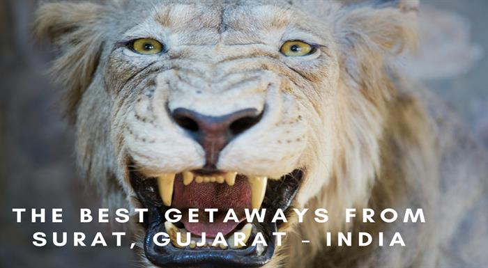 The 5 Best Trips from Surat, Gujarat