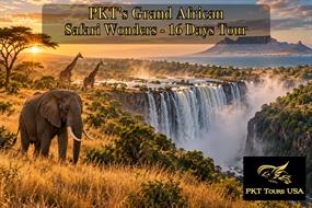 African Safari Wonder - 16 Day